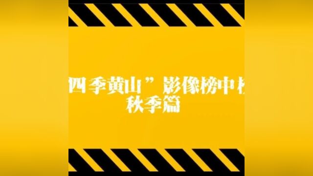 影像汇黄山,收获在金秋 | “四季黄山”影像榜中榜秋季篇