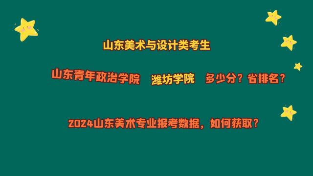 山东美术类考生,山东青年政治学院,潍坊学院,多少分?省排名