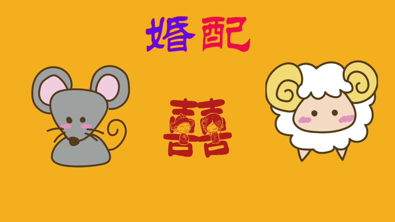 生肖鼠和生肖羊的婚配好吗?视频给你分析