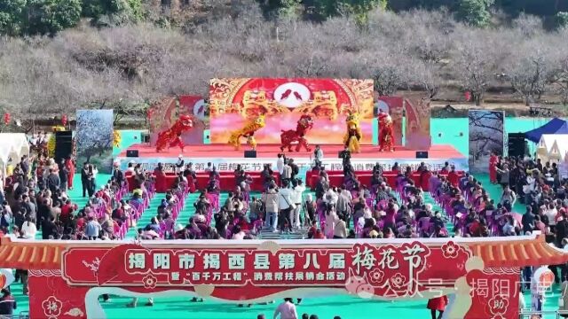 揭西:以“梅”为媒 助力“百千万工程”