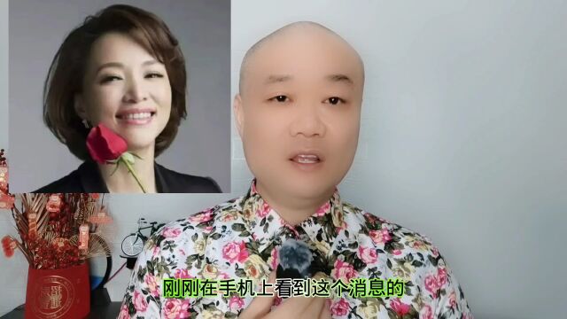 董卿:给金晶60亿,让她和老公离婚!