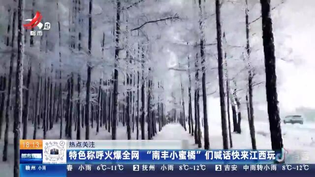 【热点关注】特色称呼火爆全网 “南丰小蜜橘”们喊话快来江西玩