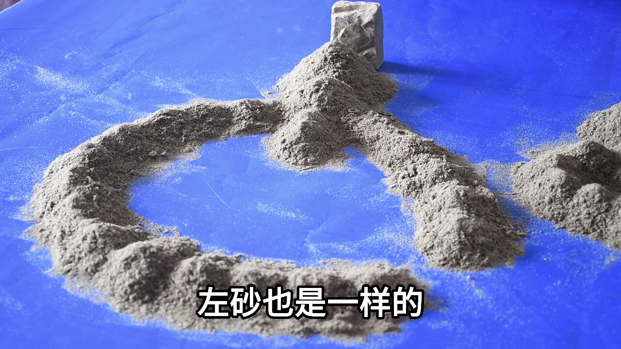 虎砂转案图片图片