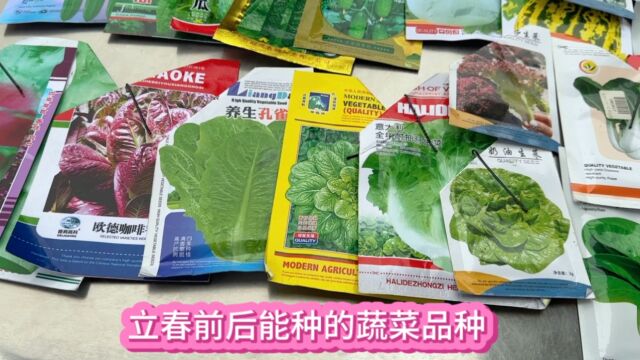 家庭种植现在还能种什么菜 立春前后可以育哪些瓜果蔬菜品种