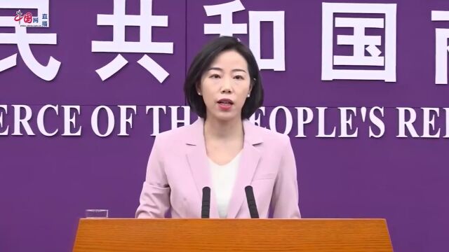 中方对欧盟进口的白兰地进行反倾销调查 商务部回应