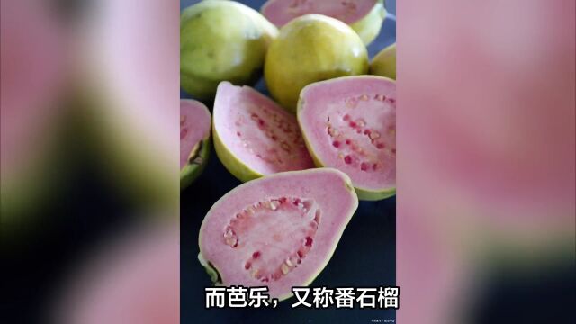 芭乐吃了会不会上火呀