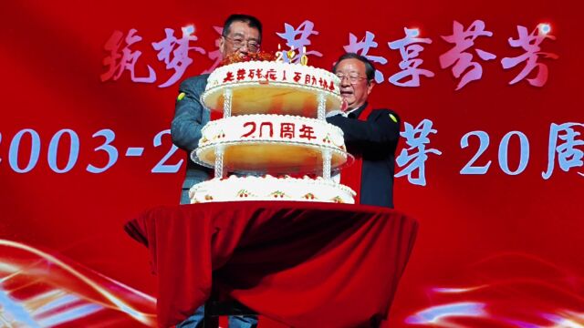 合肥瑶海:助梦春芽 共享芬芳 合肥春芽协会20周年