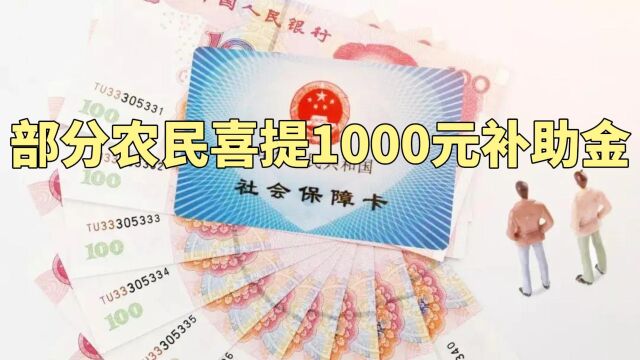 2月新政策来袭!部分农民喜提1000元补助金,你符合条件吗?