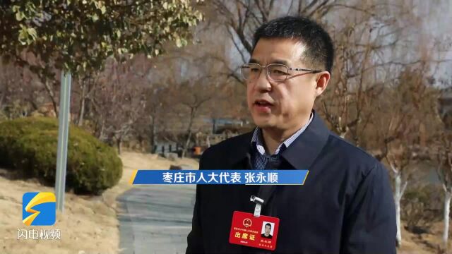 枣庄市人大代表张永顺:鼓励企业采用先进环保工艺,减少污染排放