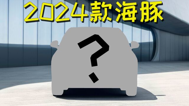 2024款海豚即将上市 能否赢得市场认可?