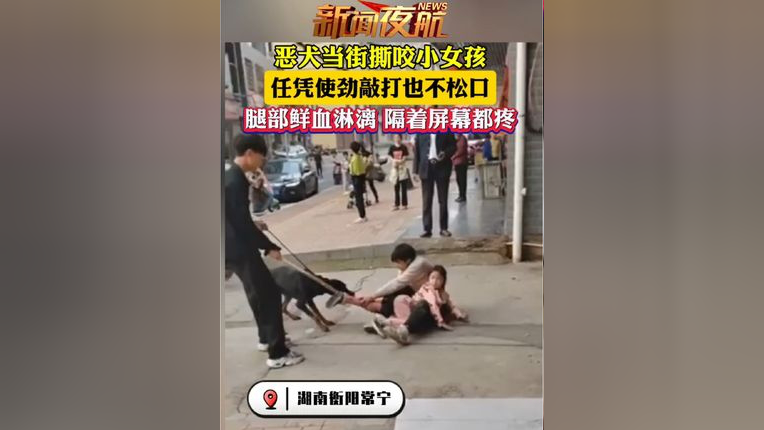 恶犬当街撕咬小女孩,任凭使劲敲打也不松口,腿部鲜血淋漓,隔着屏幕都