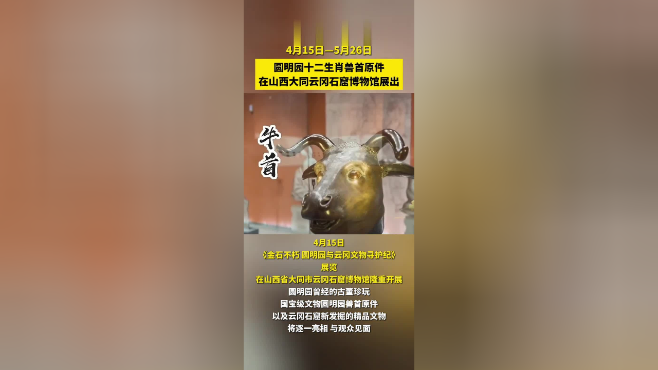 4月15日——5月26日,圆明园十二生肖兽首原件在山西大同云冈石窟博物