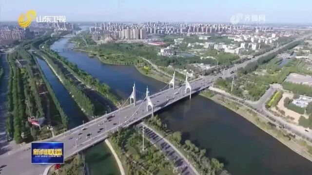 《山东新闻联播》播出茌平区行政审批工作典型经验