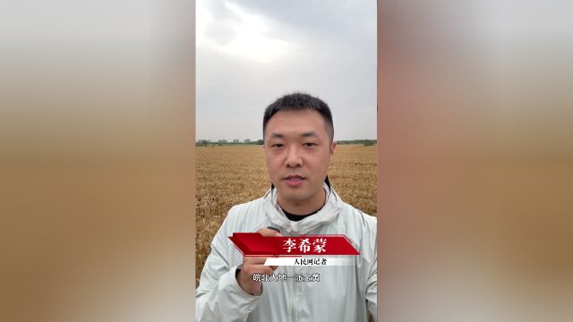 任启亮开着货车行驶在高速上,车斗里拉着收割机,副驾驶坐着妻子马小红