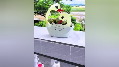 洗衣液瓶做天鹅花盆 #变废为宝 #空瓶子的妙用 #自制花盆 #手工