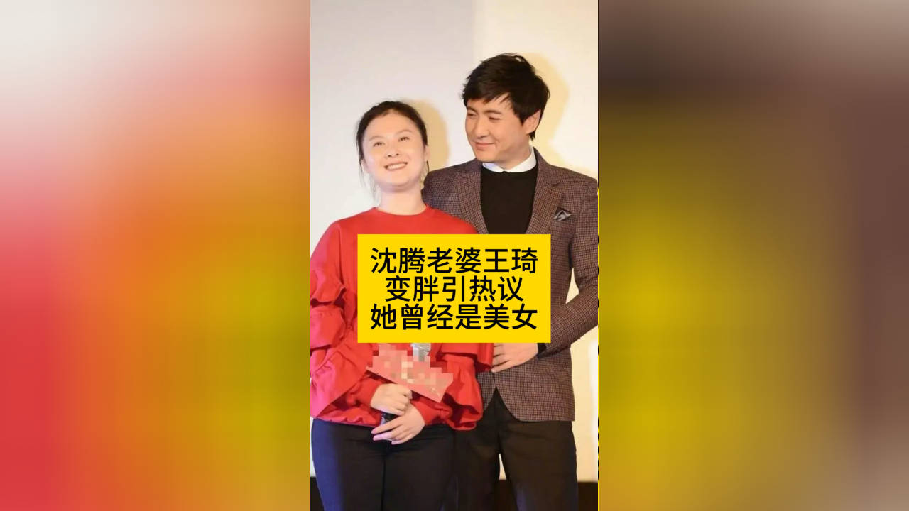 沈腾老婆王琦变胖引热议,她曾经是美女