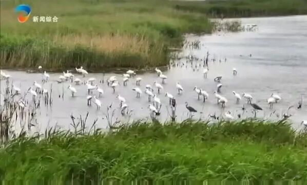 石门大河洲温泉门票图片