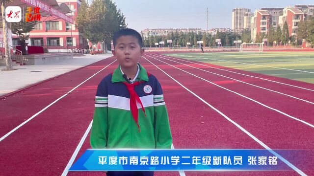 平度市2024年少先队新队员入队仪式暨平度市南京路小学第七次少代会