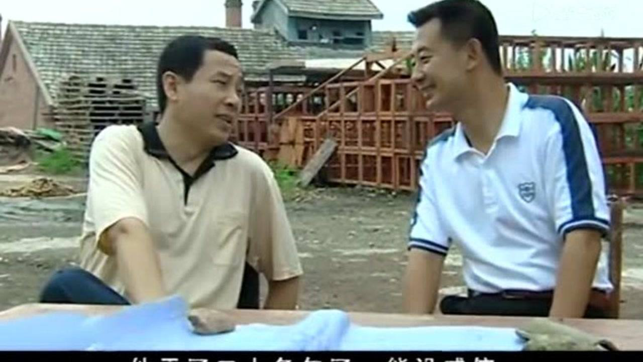 柳树屯 10集