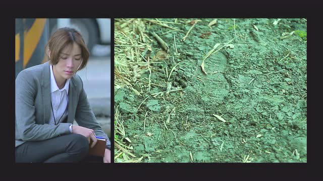 鉴侦英雄 23集