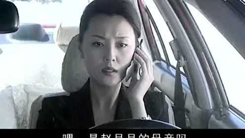 中国刑警 九月风暴 20集