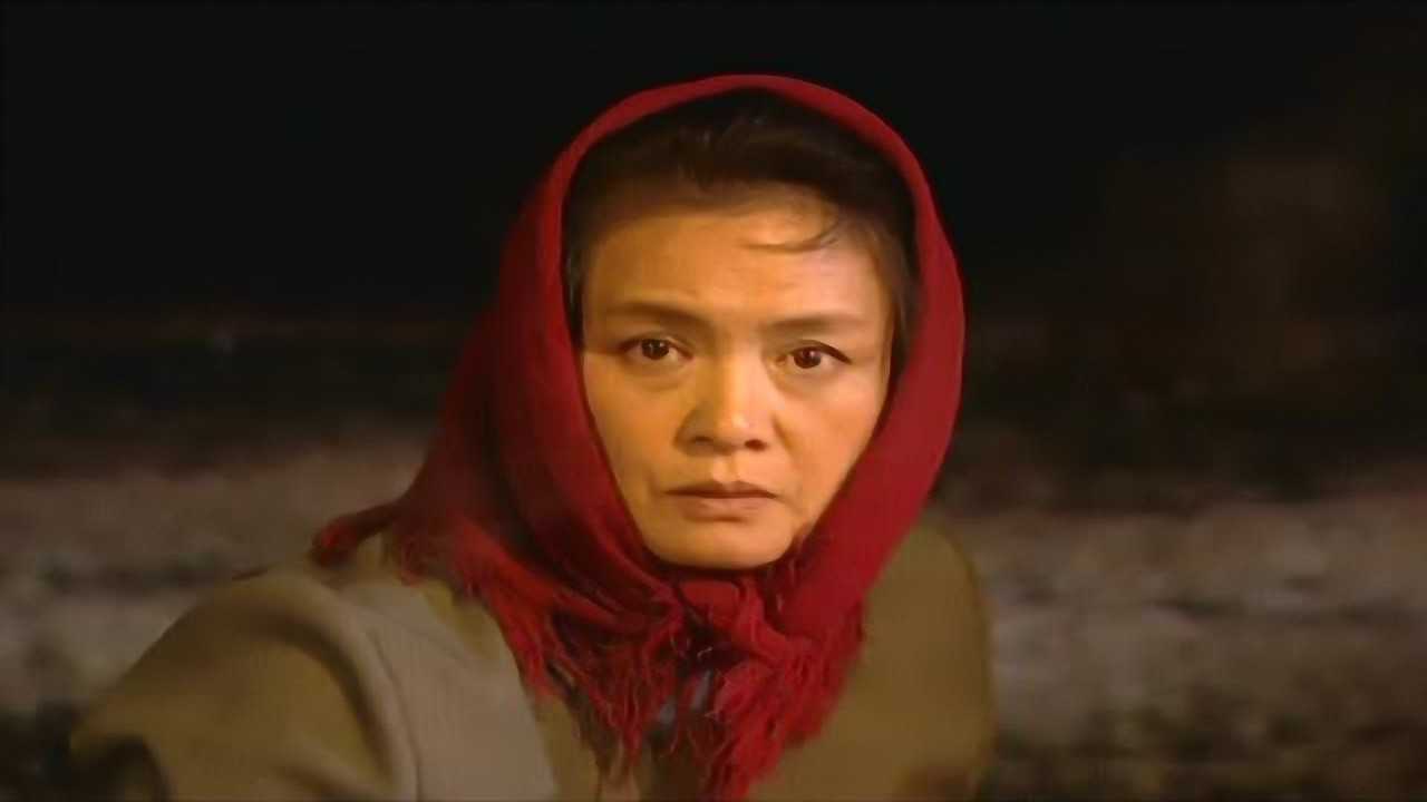 欲望的代价 14集
