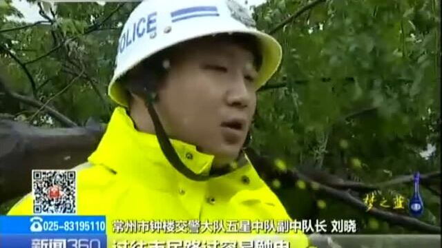 常州——交警托树排除路障 风雨之中保畅通