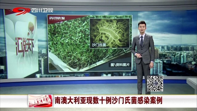 南澳大利亚现数十例沙门氏菌感染案例