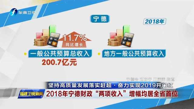 坚持高质量发展落实赶超ⷥ勥Š›实现2019开门红 2018年宁德财政“两项收入”增幅均居全省首位