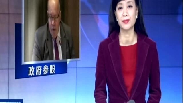 德经济部长:政府将参股科技公司 防止外资收购