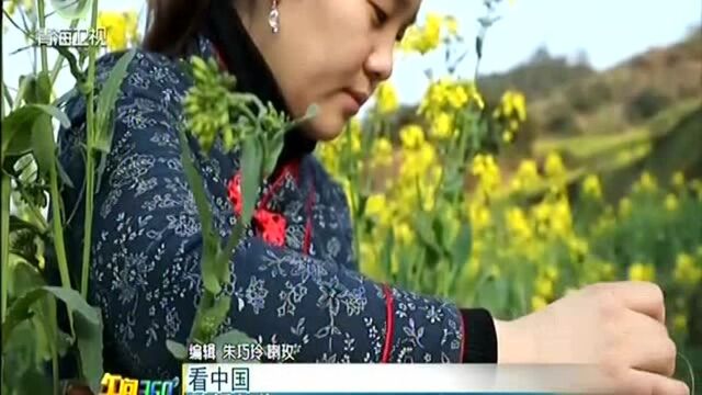 看中国 婺绣新生