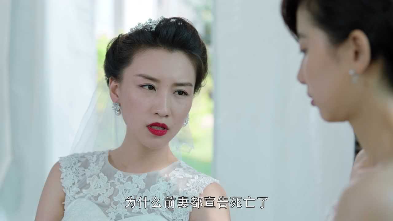 冷案 25集