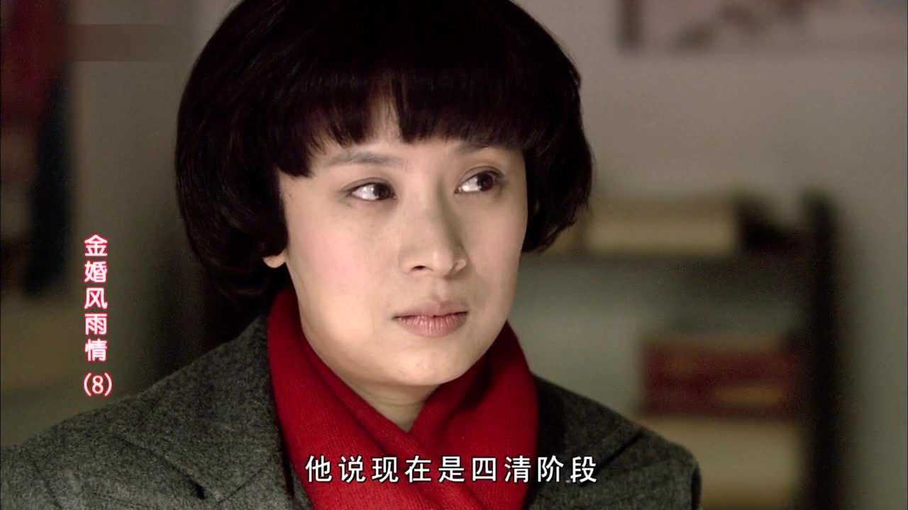 金婚风雨情 8集