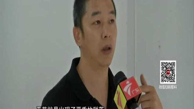 广州白云区:天花板坠落伤人 租客退租房东难出租