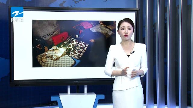 女大学生休学开网店销售高仿奢侈品牟利100多万 获刑4年