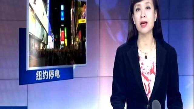 纽约大面积停电:继电保护系统失灵所致