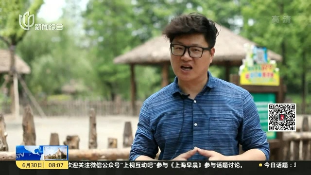 温顺羊驼把毛剪 波浪发型惹人爱