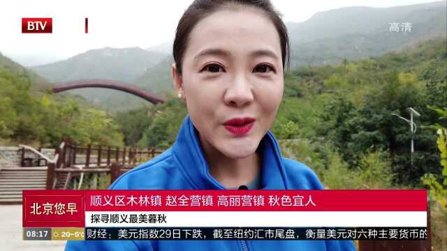 探寻顺义最美暮秋 顺义区木林镇 赵全营镇 高丽营镇 秋色宜人