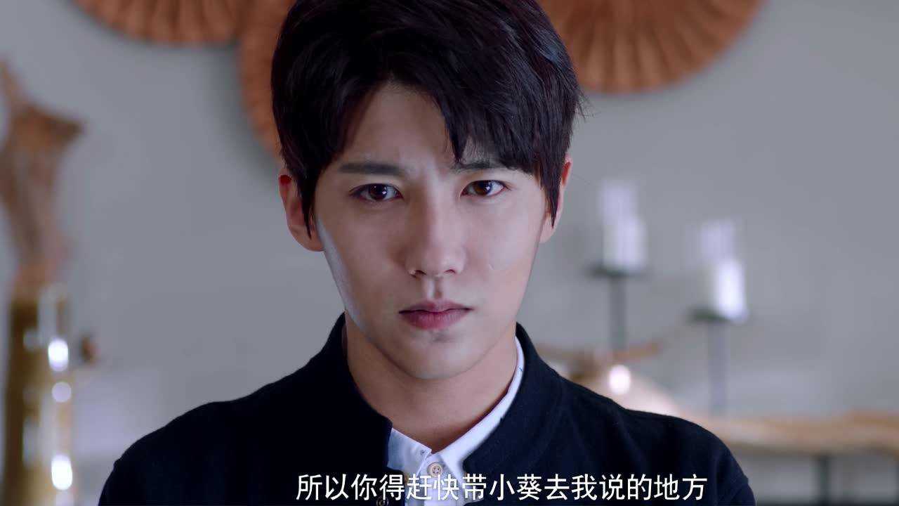 白狐的人生 20集