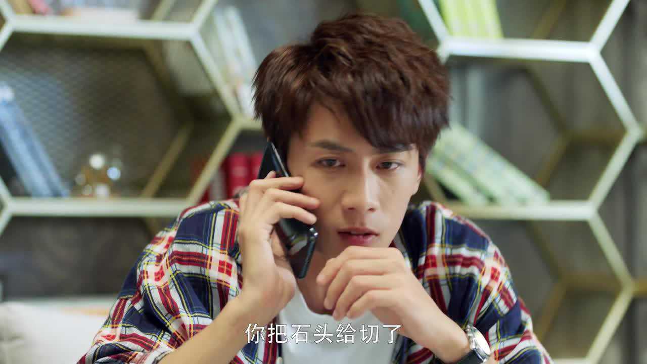 酋长的男人 4集