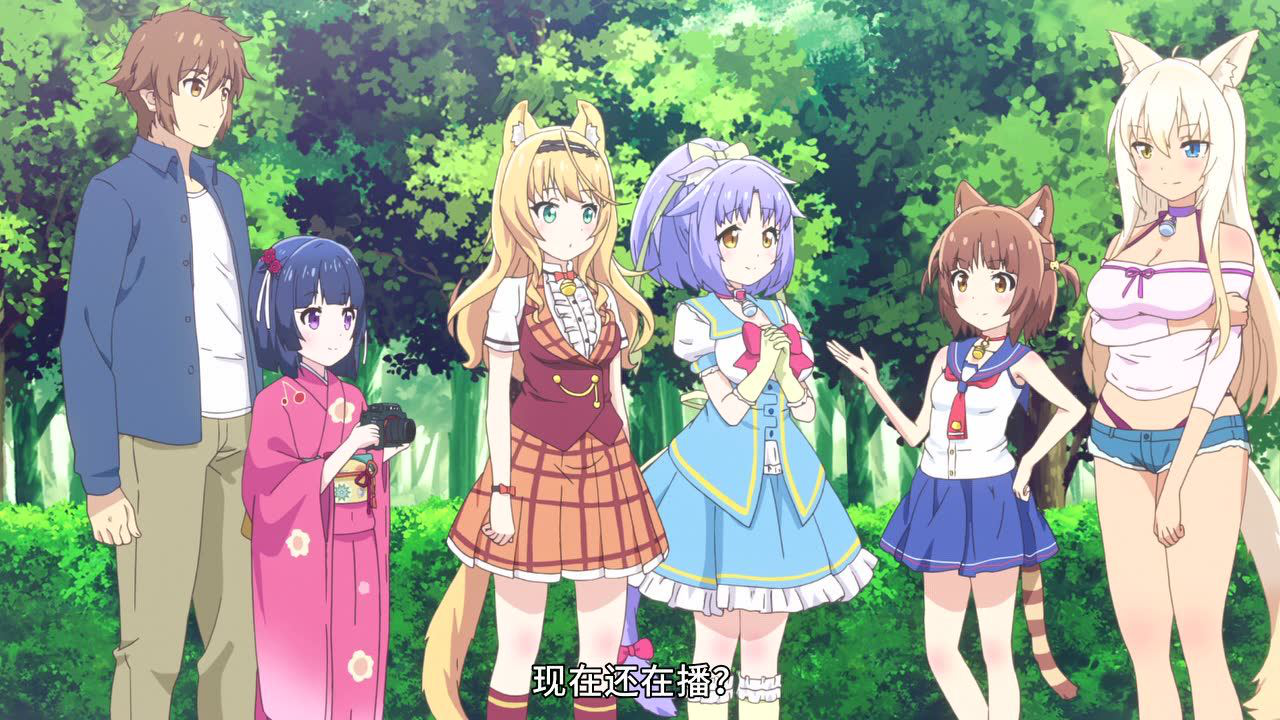 猫娘乐园 9集