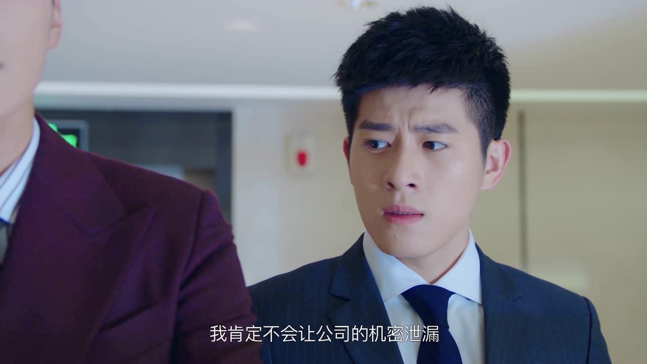 忘记你，记得爱情 24集
