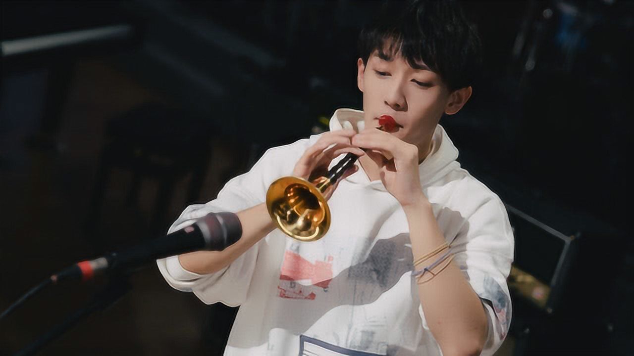 【纯享】闫永强唢呐版《the spectre_腾讯视频