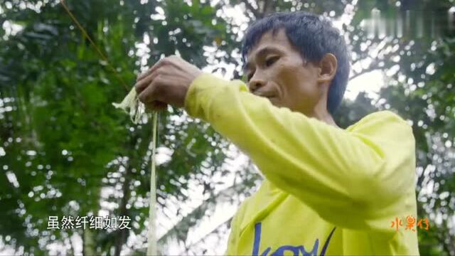 风靡全球的“水果忍者” 那爽脆的音效是如何实现的精彩片段