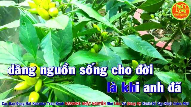 H㠮h Trang Gi㣠Từ  Song Ca