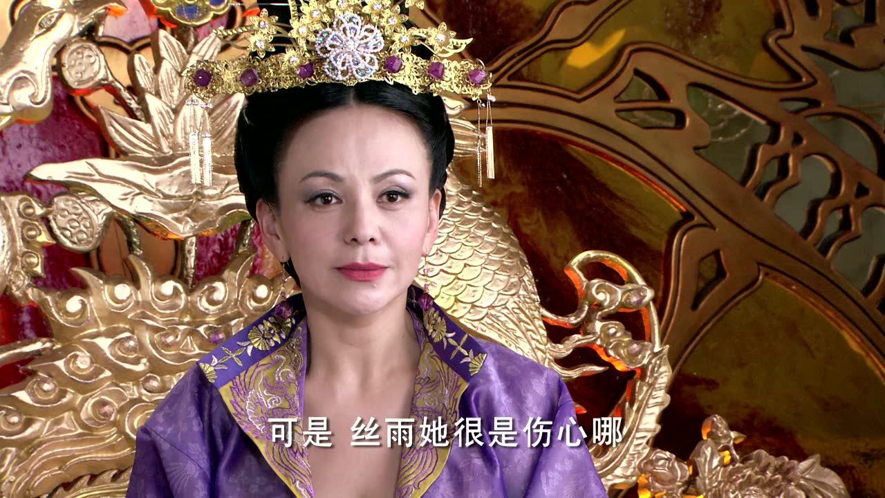失宠王妃之结缘 17集