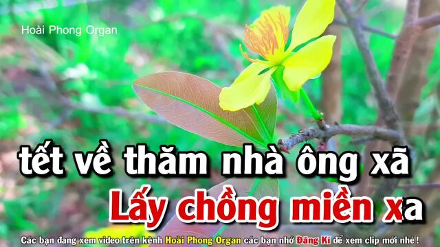 Vui Tết Miệt V氡𛝮  Tone Nữ