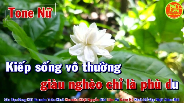 Qu㡮 Trọ Trần Gian 2( Biết 䐡𚿮 Bao Giờ ) Tone Nữ