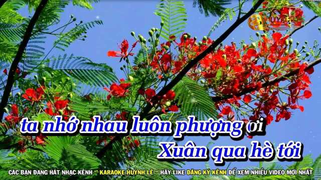 Ph氡𛣮g Buồn  Nhạc Sống Tone Nam