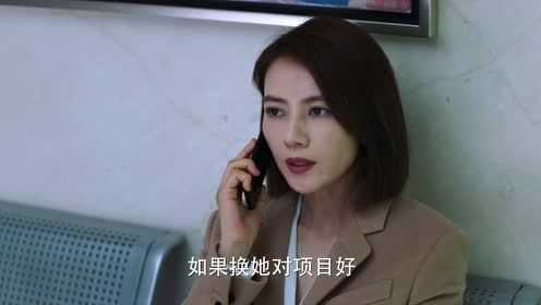 完美伴侣[DVD版] 25集